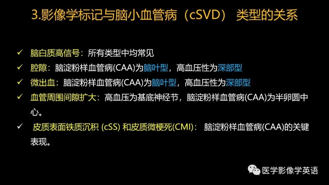 影像PPT - 【PPT】脑小血管病： 放射科医生须知-46