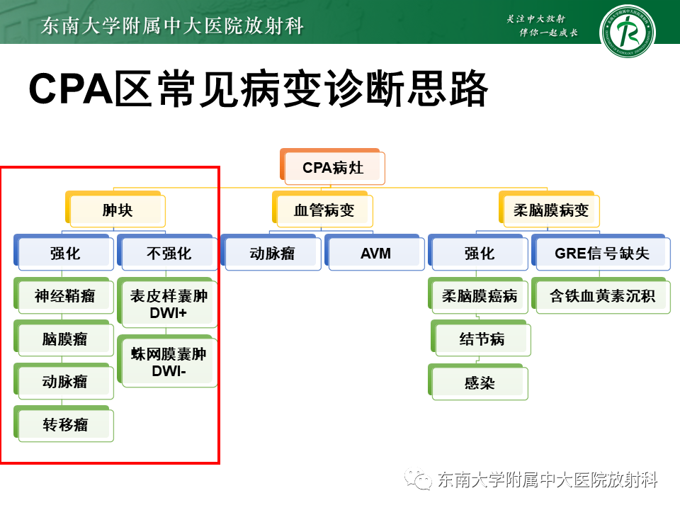 影像PPT - 【PPT】成人桥小脑角区常见肿瘤-12