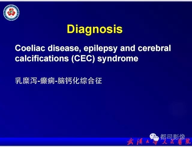 影像PPT - 【PPT】乳糜泻-癫痫-脑钙化综合征-10