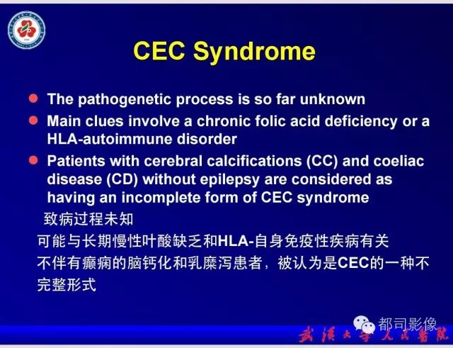 影像PPT - 【PPT】乳糜泻-癫痫-脑钙化综合征-12