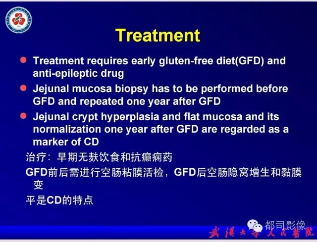 影像PPT - 【PPT】乳糜泻-癫痫-脑钙化综合征-17