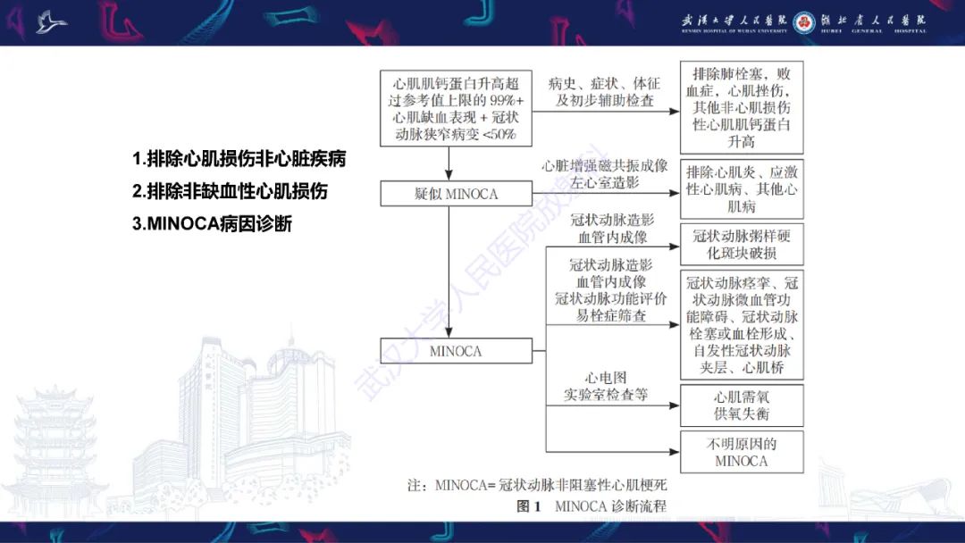 影像PPT - 【PPT】冠状动脉非阻塞性心肌梗死影像诊断-11