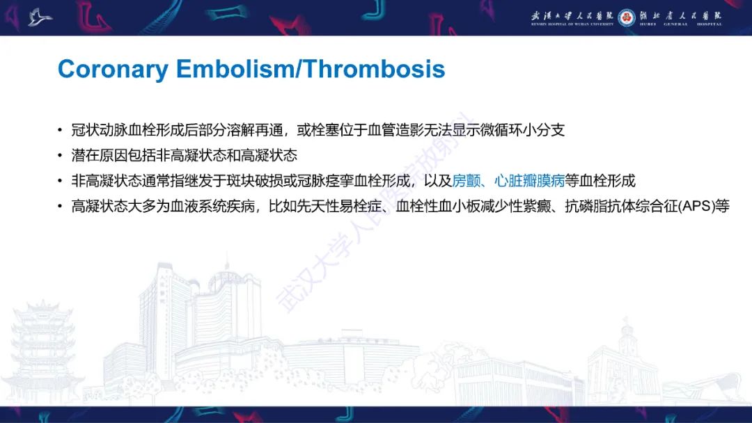 影像PPT - 【PPT】冠状动脉非阻塞性心肌梗死影像诊断-22