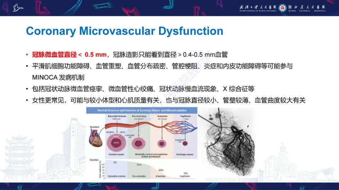 影像PPT - 【PPT】冠状动脉非阻塞性心肌梗死影像诊断-21