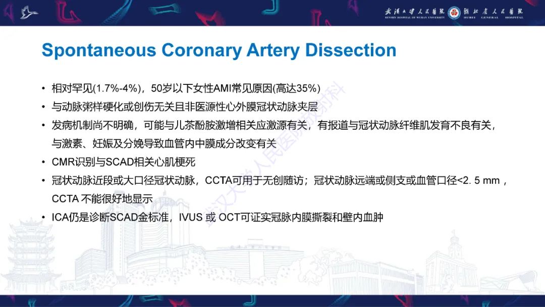 影像PPT - 【PPT】冠状动脉非阻塞性心肌梗死影像诊断-27