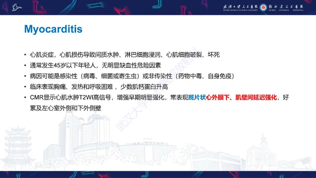 影像PPT - 【PPT】冠状动脉非阻塞性心肌梗死影像诊断-37