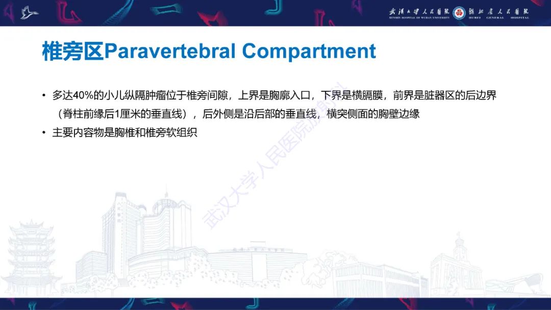 影像PPT - 【PPT】儿童纵隔占位影像诊断-40