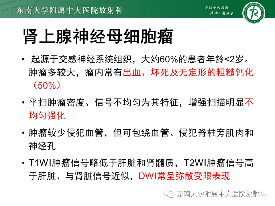 影像PPT - 【PPT】肾上腺皮质癌-23 影像PPT - 【PPT】肾上腺皮质癌-23