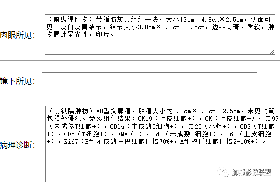影像PPT - 【病例】前纵隔区最常见的肿瘤—胸腺瘤1例CT-10 影像PPT - 【病例】前纵隔区最常见的肿瘤—胸腺瘤1例CT-10