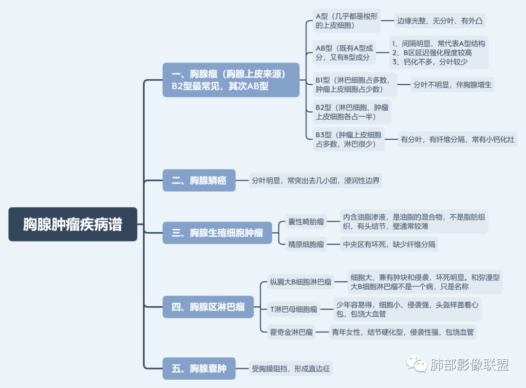 影像PPT - 【病例】前纵隔区最常见的肿瘤—胸腺瘤1例CT-13 影像PPT - 【病例】前纵隔区最常见的肿瘤—胸腺瘤1例CT-13