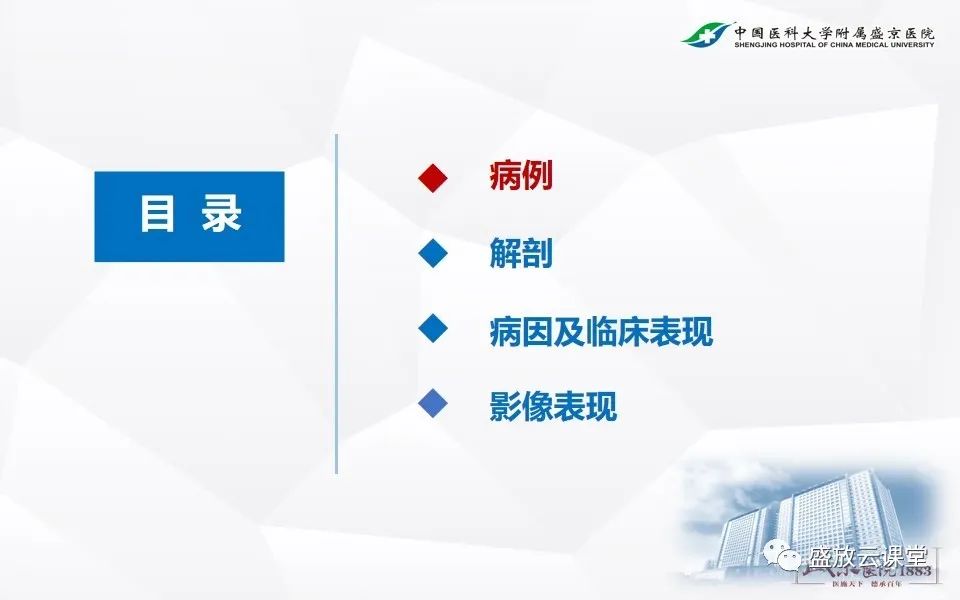 影像PPT - 【PPT】急性肠系膜血管栓塞的影像诊断-2