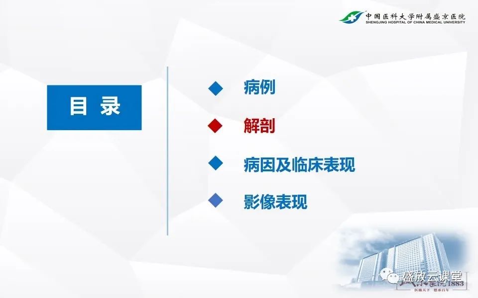 影像PPT - 【PPT】急性肠系膜血管栓塞的影像诊断-6