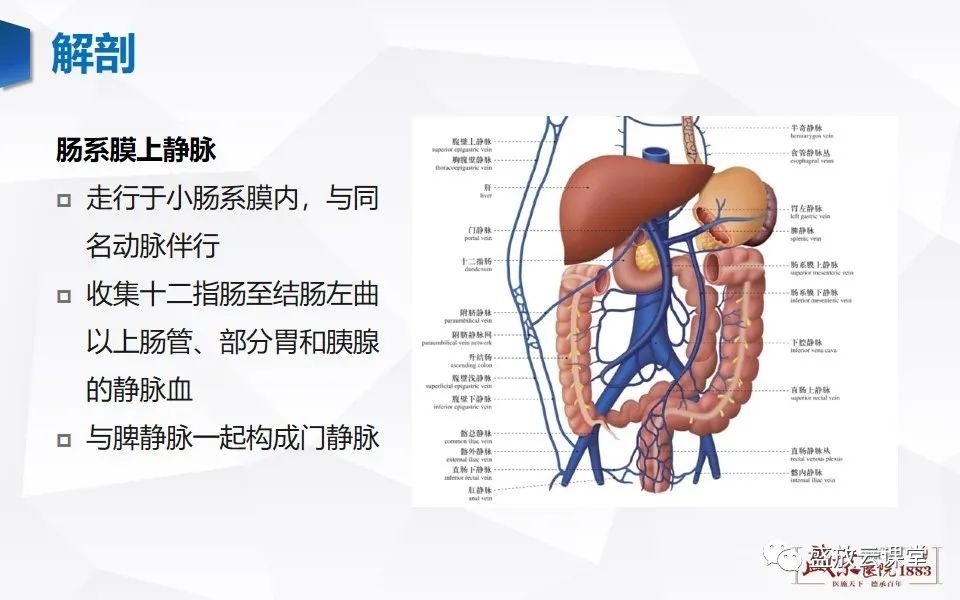 影像PPT - 【PPT】急性肠系膜血管栓塞的影像诊断-9
