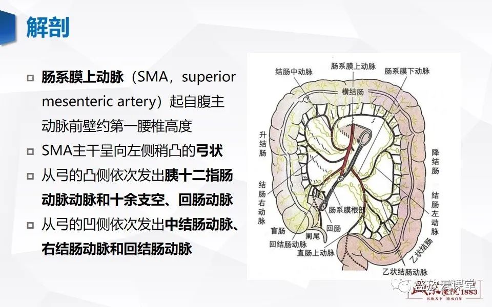 影像PPT - 【PPT】急性肠系膜血管栓塞的影像诊断-7