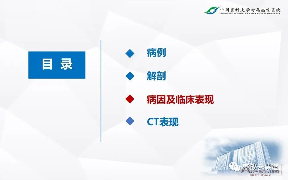 影像PPT - 【PPT】急性肠系膜血管栓塞的影像诊断-10