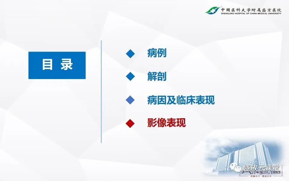 影像PPT - 【PPT】急性肠系膜血管栓塞的影像诊断-13