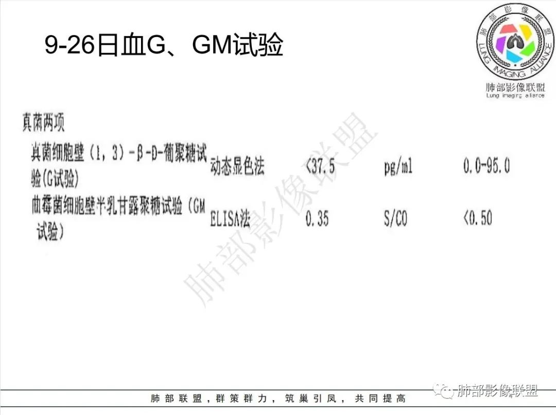 影像PPT - 【病例】白血病合并曲霉菌感染-4 影像PPT - 【病例】白血病合并曲霉菌感染-4