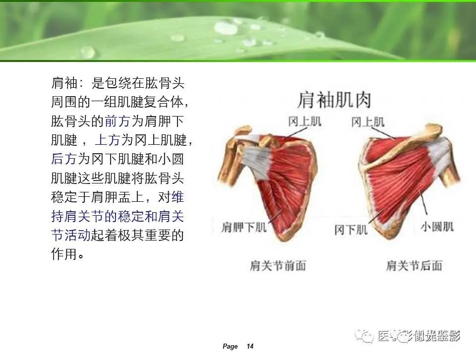 影像PPT - 【PPT】肩关节MRI-12 影像PPT - 【PPT】肩关节MRI-12