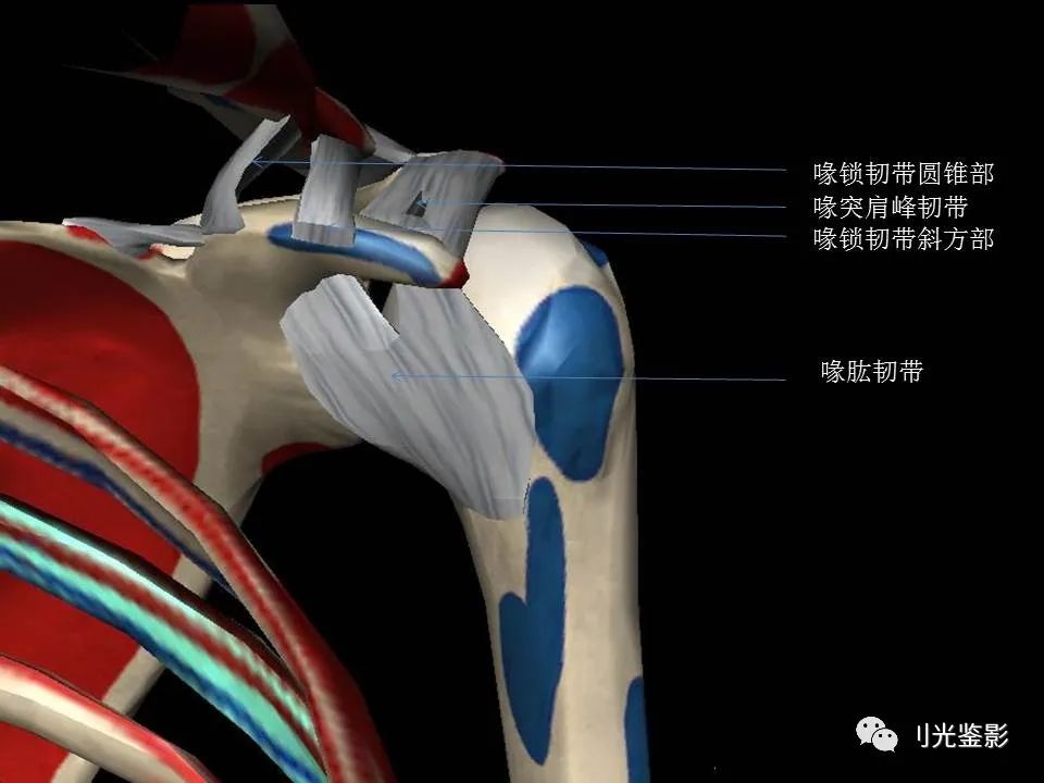 影像PPT - 【PPT】肩关节MRI-19 影像PPT - 【PPT】肩关节MRI-19