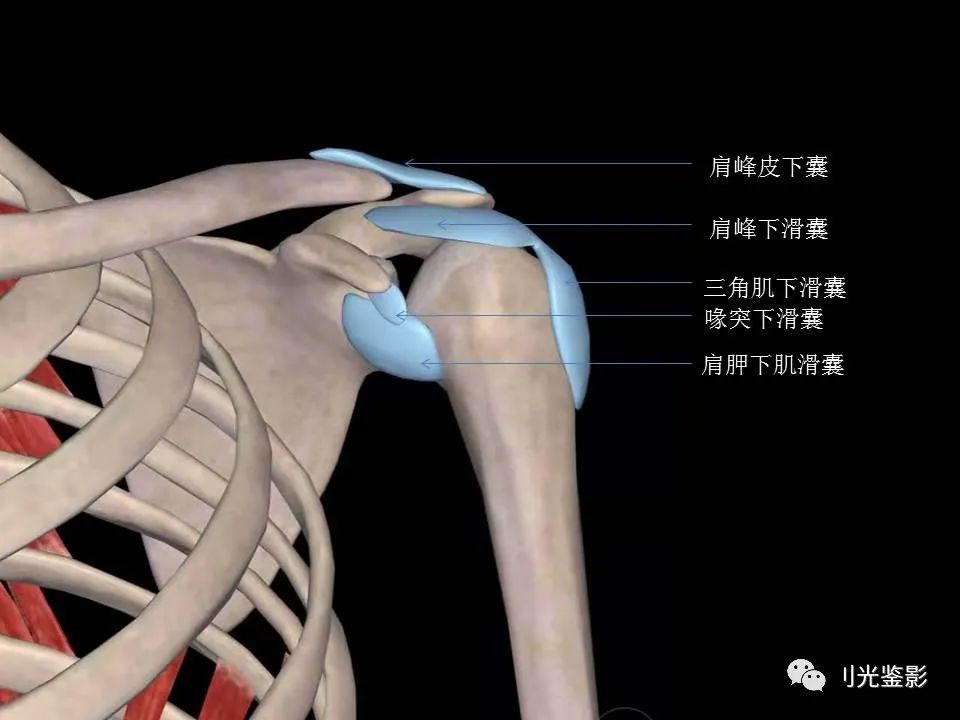 影像PPT - 【PPT】肩关节MRI-21 影像PPT - 【PPT】肩关节MRI-21