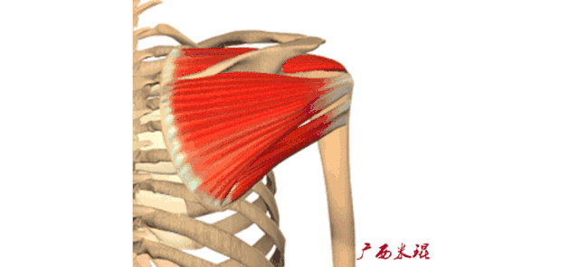 影像PPT - 【PPT】肩关节MRI-46 影像PPT - 【PPT】肩关节MRI-46