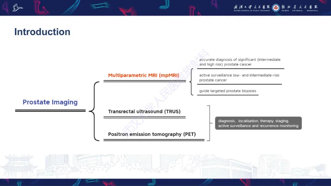 影像PPT - 【PPT】前列腺周围病变MRI诊断-2