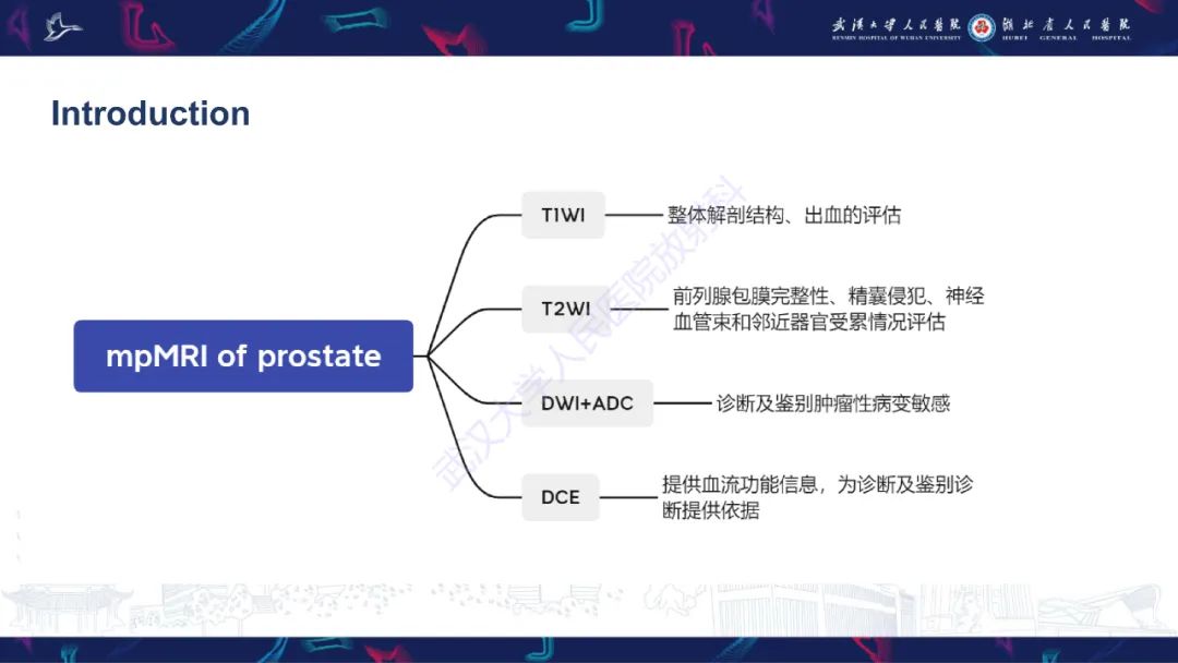影像PPT - 【PPT】前列腺周围病变MRI诊断-3