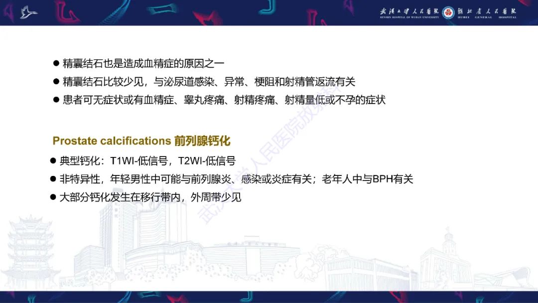 影像PPT - 【PPT】前列腺周围病变MRI诊断-10