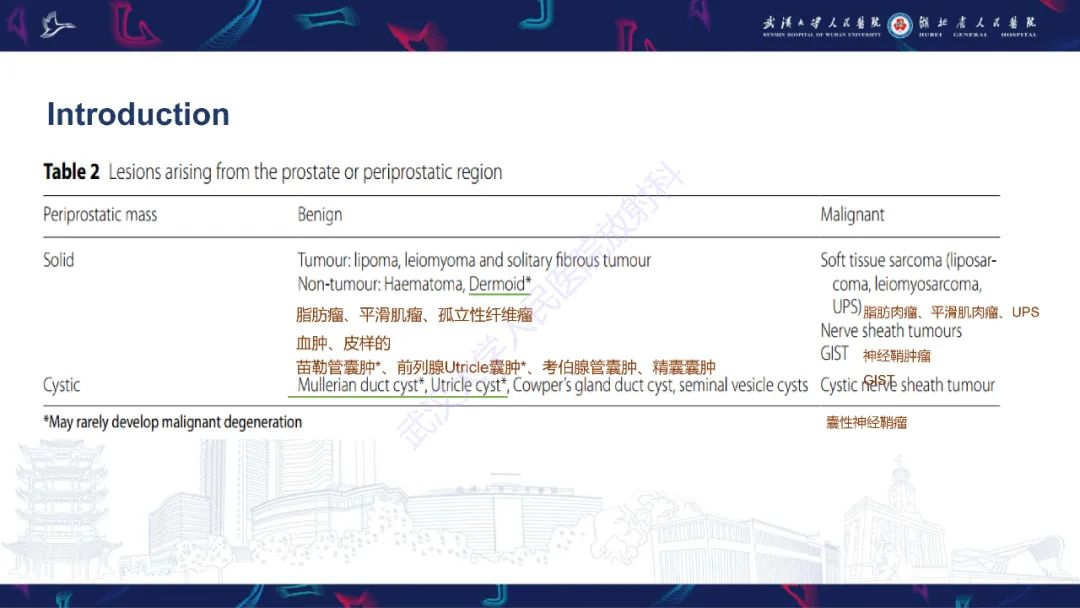 影像PPT - 【PPT】前列腺周围病变MRI诊断-8