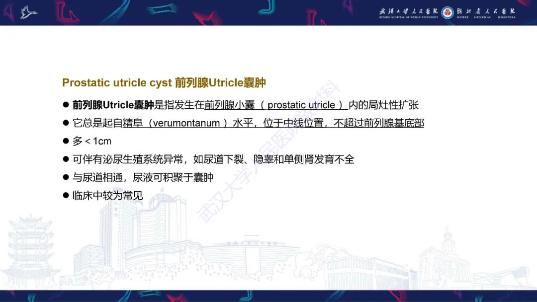 影像PPT - 【PPT】前列腺周围病变MRI诊断-14