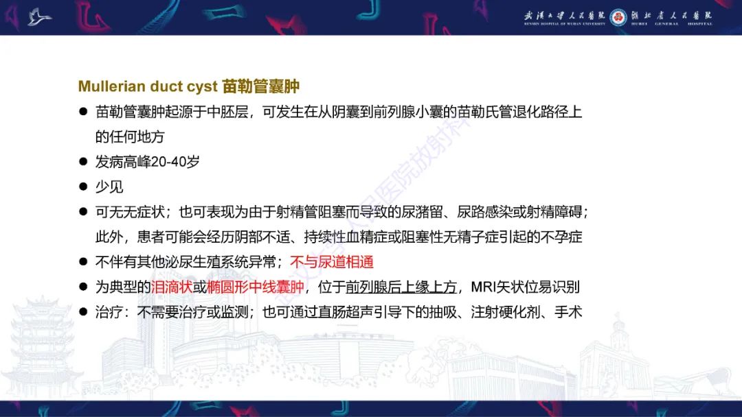 影像PPT - 【PPT】前列腺周围病变MRI诊断-15