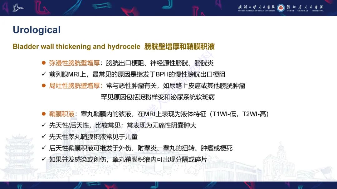 影像PPT - 【PPT】前列腺周围病变MRI诊断-40