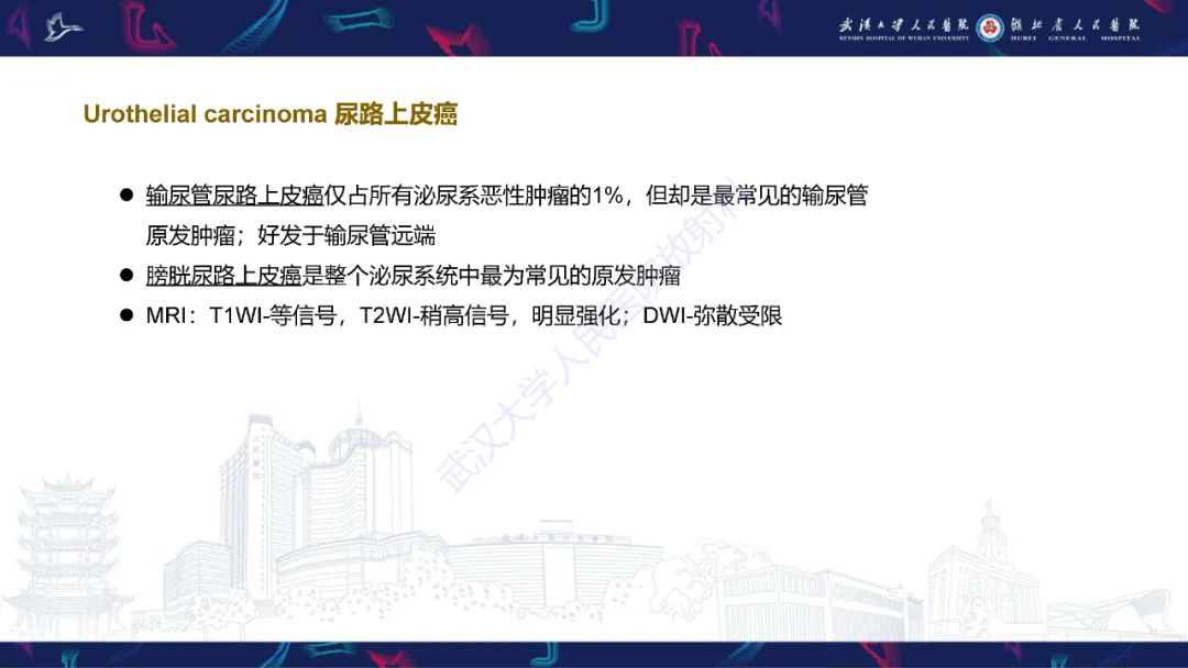 影像PPT - 【PPT】前列腺周围病变MRI诊断-47