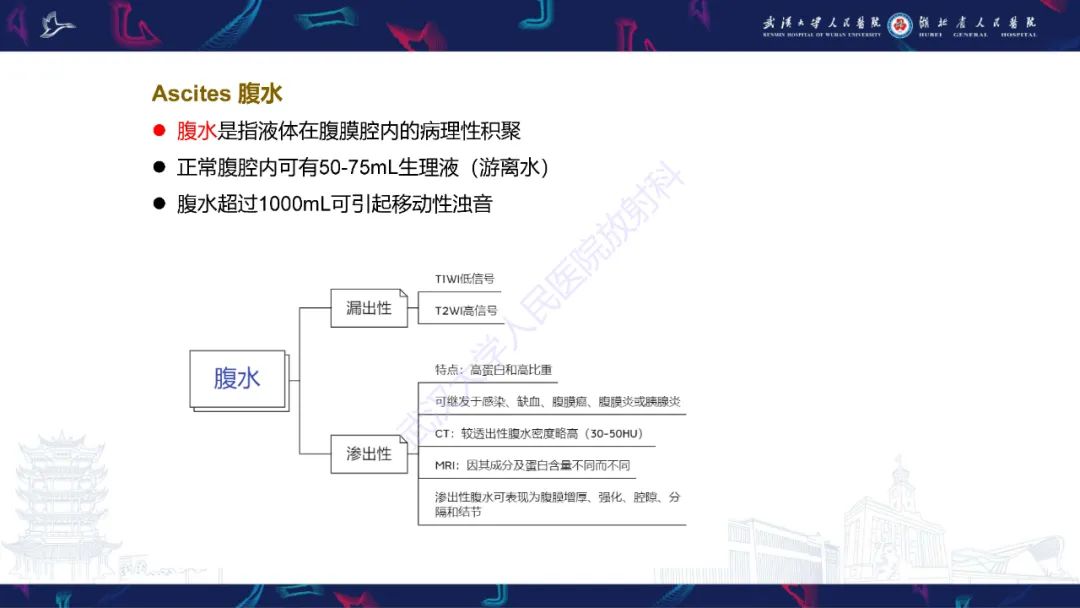 影像PPT - 【PPT】前列腺周围病变MRI诊断-52