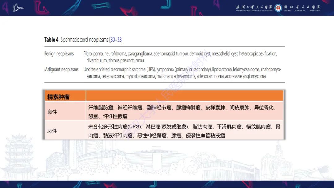 影像PPT - 【PPT】前列腺周围病变MRI诊断-44