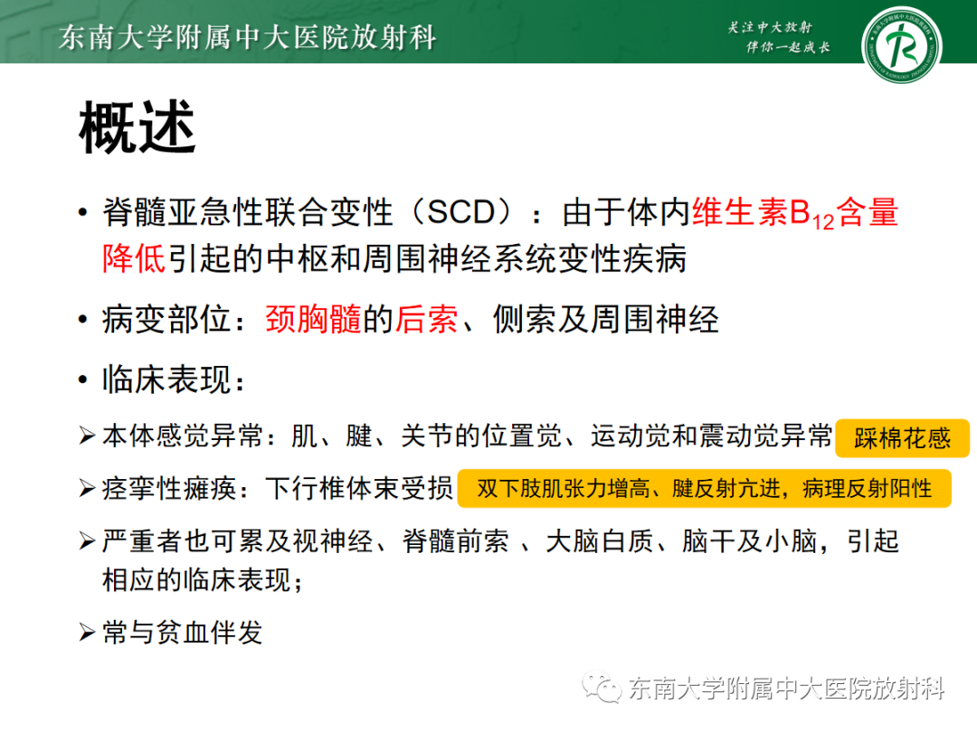 影像PPT - 【PPT】脊髓亚急性联合变性-5 影像PPT - 【PPT】脊髓亚急性联合变性-5