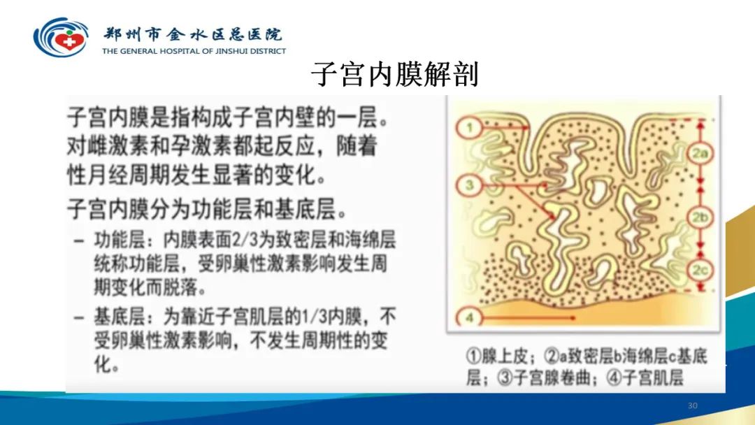 影像PPT - 【病例】巧克力囊肿-30