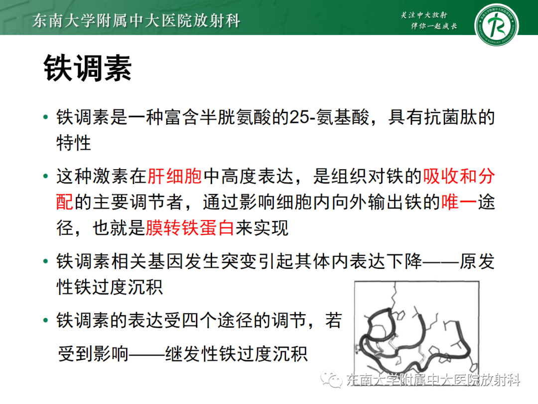 影像PPT - 【PPT】肝脏铁过载-8 影像PPT - 【PPT】肝脏铁过载-8