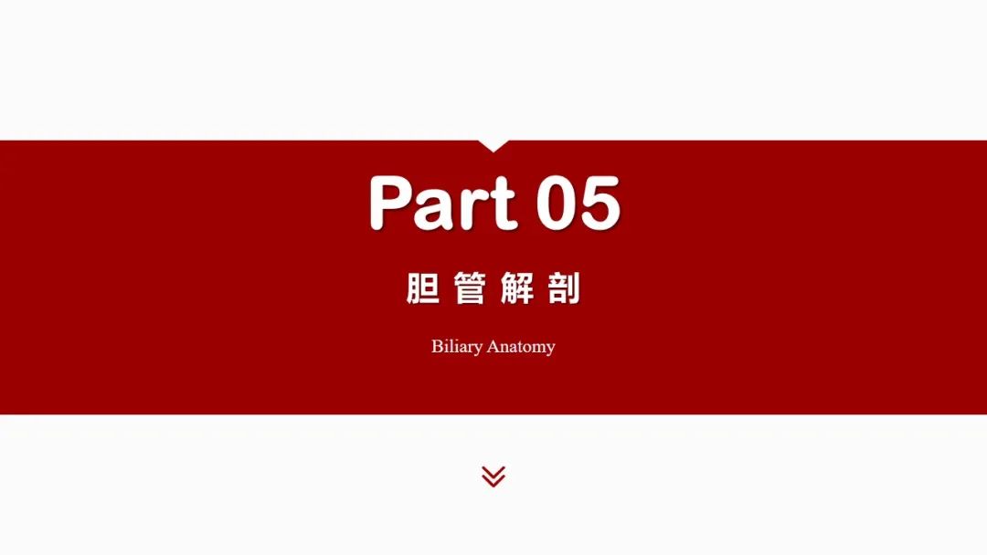 影像PPT - 【PPT】肝脏管道系统解剖变异影像评价-48
