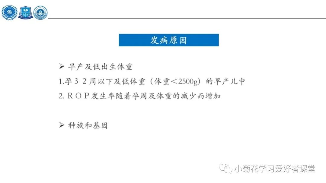 影像PPT - 【PPT】早产儿视网膜病变（ROP）-3