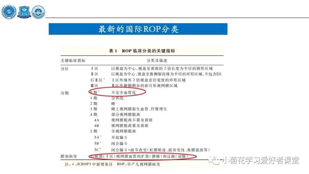 影像PPT - 【PPT】早产儿视网膜病变（ROP）-9