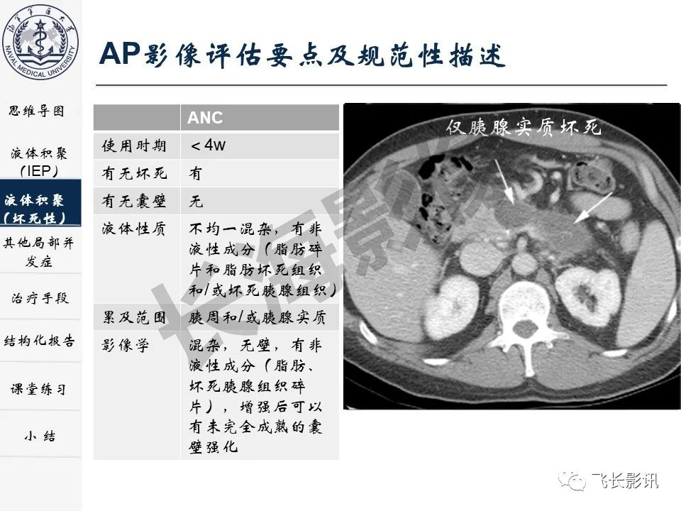 影像PPT - 【PPT】急性胰腺炎亚特兰大分级修订版解读—影像术语规范及结构化报告-14