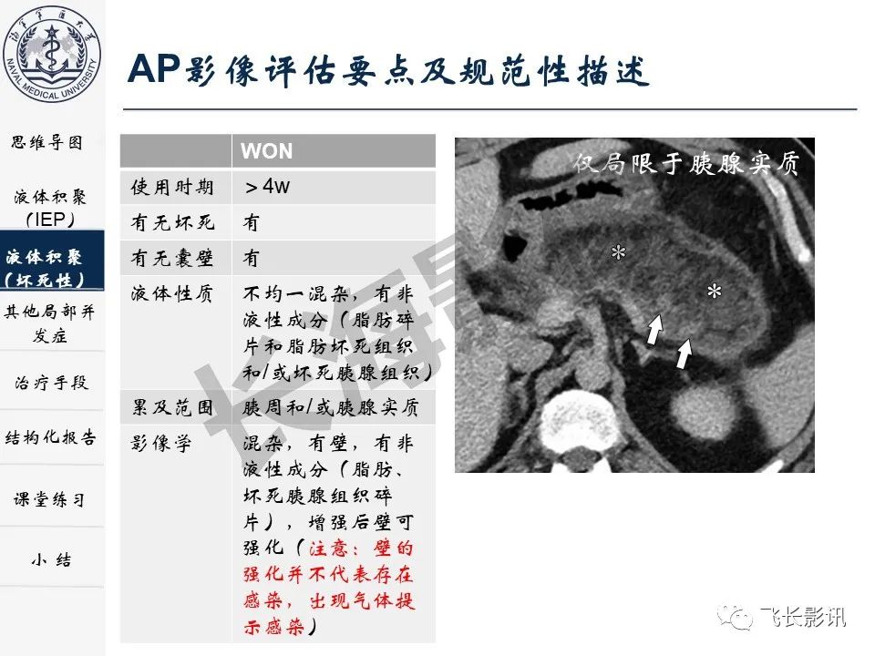 影像PPT - 【PPT】急性胰腺炎亚特兰大分级修订版解读—影像术语规范及结构化报告-17