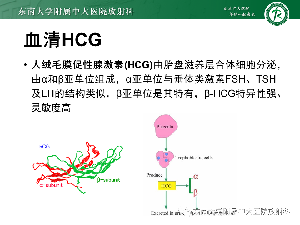 影像PPT - 【PPT】妊娠残留物的MR诊断及鉴别-15 影像PPT - 【PPT】妊娠残留物的MR诊断及鉴别-15