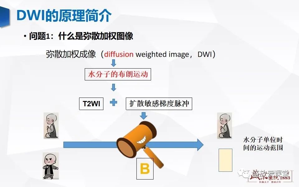 影像PPT - 【PPT】DWI成像原理及应用-2