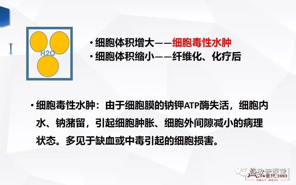 影像PPT - 【PPT】DWI成像原理及应用-11