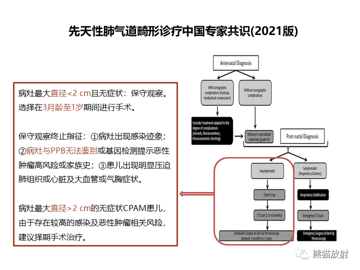 影像PPT - 【病例】先天性肺气道畸形 VS 先天性肺叶过度充气（肺气肿）-32