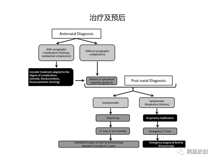 影像PPT - 【病例】先天性肺气道畸形 VS 先天性肺叶过度充气（肺气肿）-31