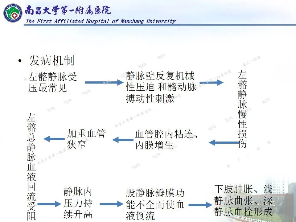 影像PPT - 【PPT】浅谈血管压迫综合征-30