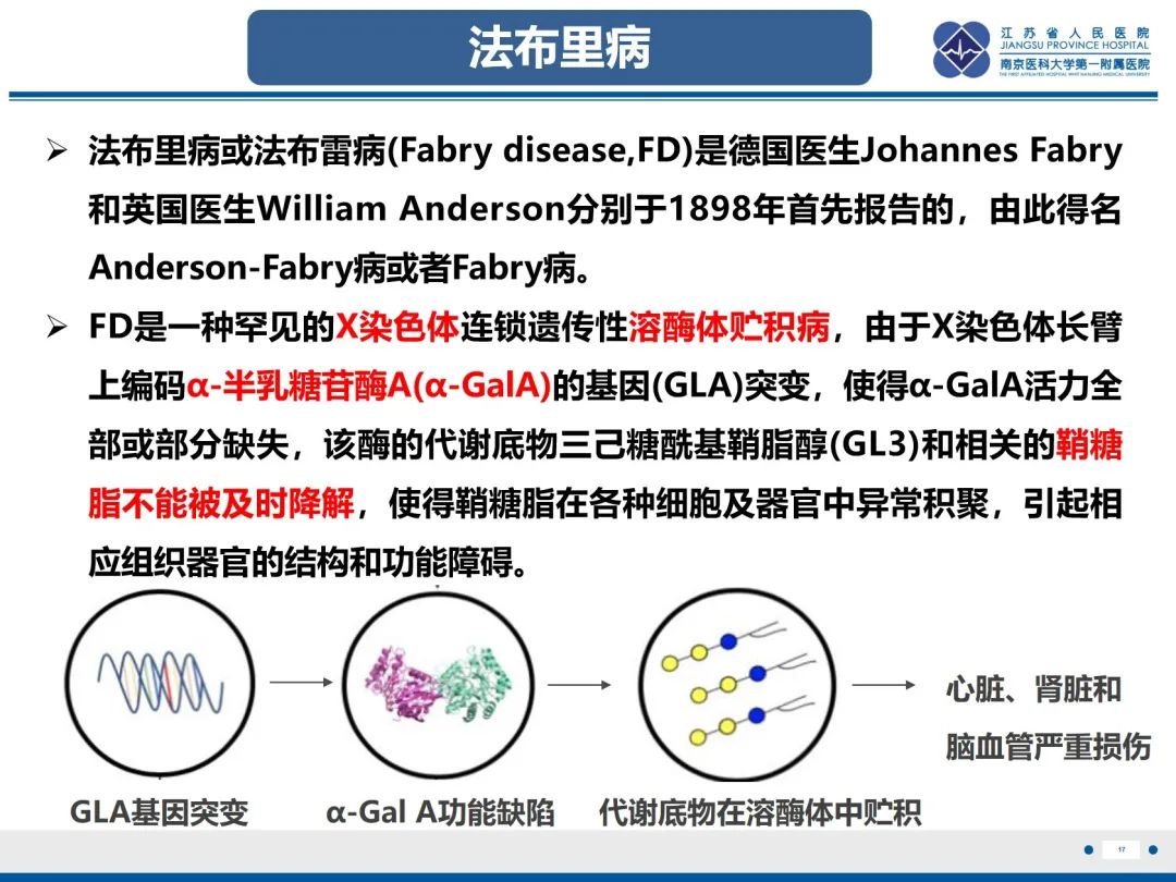 影像PPT - 【PPT】法布里病（Fabry Disease）-18